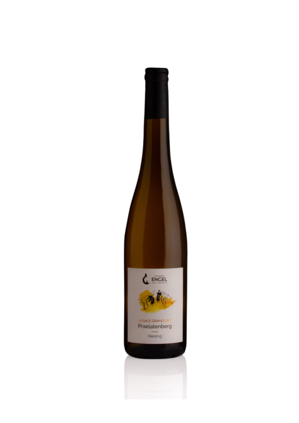 Alsace AOP  - Les frères Engel – « Riesling Grand Cru Praelatenberg» blanc 2019