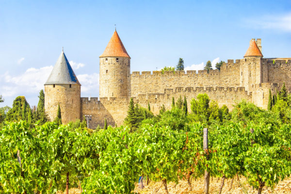 Dégustation "Tournée méridionale de la vallée du Rhône" le 10 janvier