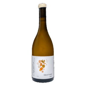 Mâcon Fuissé AOP – Domaine Marcel Couturier - blanc 2022