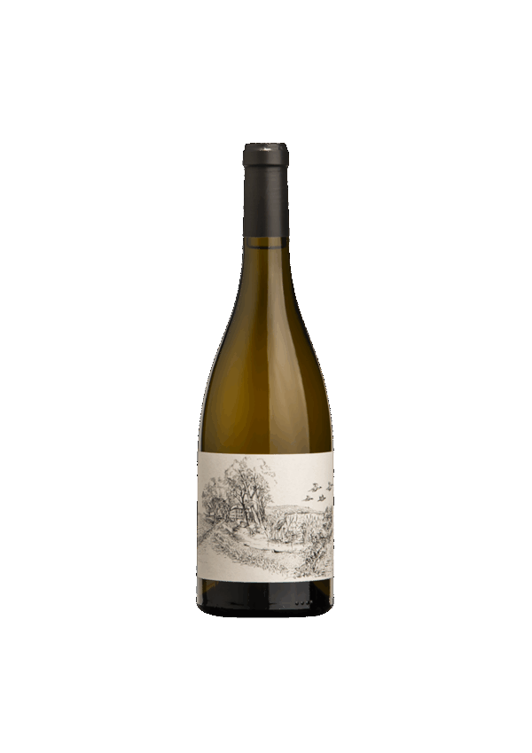 Méditerranée IGP - Château Bois d'Arlène - La Comtesse - blanc 2021