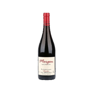 Morgon AOP – Georges Descombes - rouge 2023