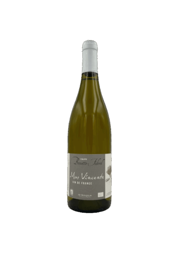 VDF - Domaine Bonetto Fabrol – Mas Vicente - blanc 2024