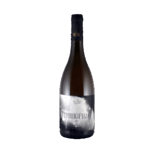 VDF - Les chemins de Bassac – Luminophage - blanc 2023