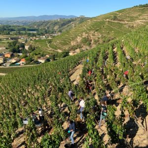 Dégustation "Verticale de Côte Rôtie » le 6 juin