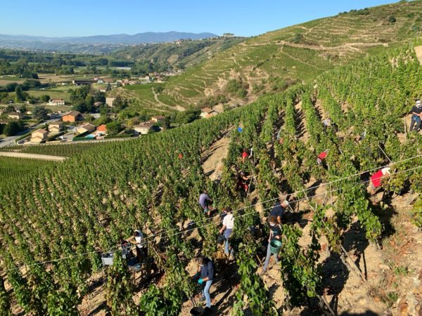 Dégustation "Verticale de Côte Rôtie » le 6 juin