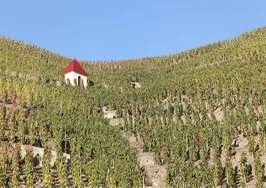 Dégustation "Verticale de Côte Rôtie » le 7 juin