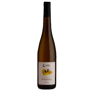 Bouteille d’Alsace, Les Frères Engel, Riesling Grand Cru Praelatenberg sec, vin blanc