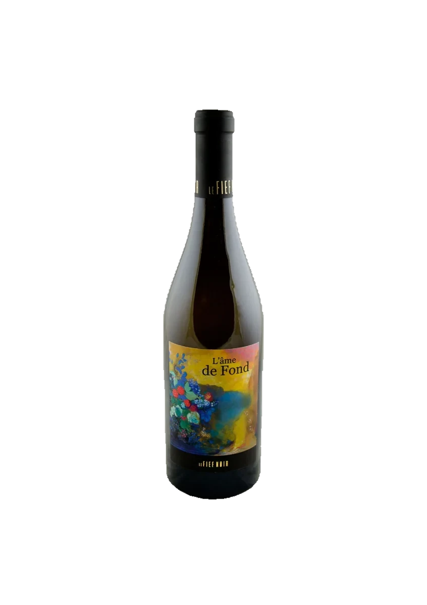 Bottle of Anjou, Domaine Fief Noir, L’Âme de Fond, white wine