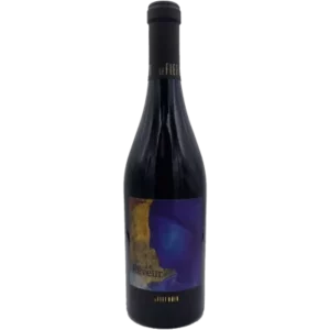 Bouteille d’Anjou, Domaine Fief Noir, Rêveur, vin rouge