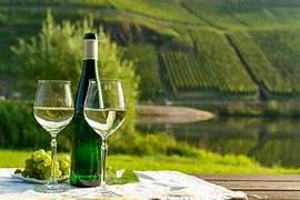 Atelier dégustation Vino Veritas : L’Alsace