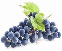 Atelier dégustation Vino Veritas : Le gamay en ultra-local