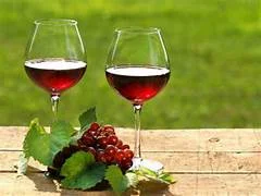Weinprobe-Workshop Vino Veritas: Naturweine aus der nördlichen Ardèche