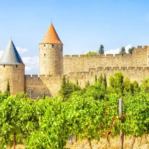 Weinprobe-Workshop Vino Veritas: Rundreise durch das südliche Rhonetal