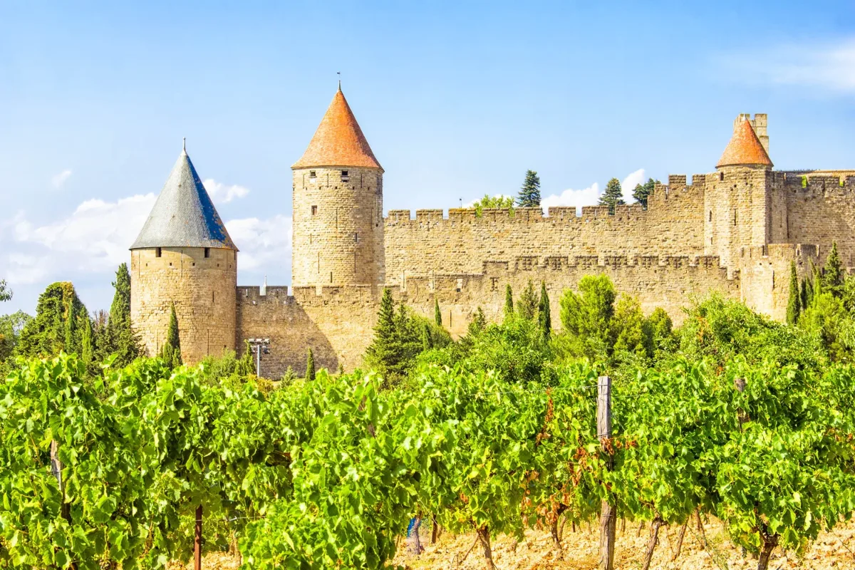 Weinprobe-Workshop Vino Veritas: Rundreise durch das südliche Rhonetal