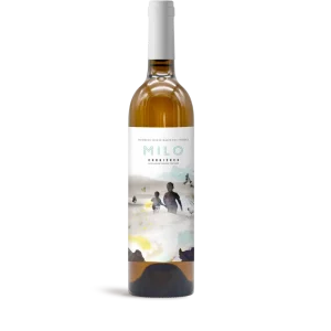 Bouteille de Corbières, Domaine Sainte Marie des Crozes, Milo, vin blanc