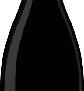 Bouteille de Gevrey Chambertin, Domaine Arnaud Boué, vin rouge