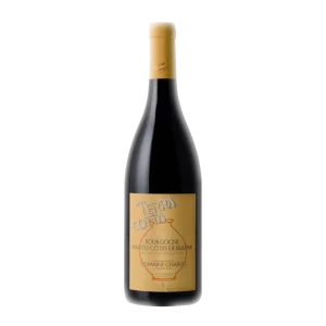 Bouteille de Hautes Côtes de Beaune, Maison Charles Père & Filles, Terra Cotta Amphore, vin rouge