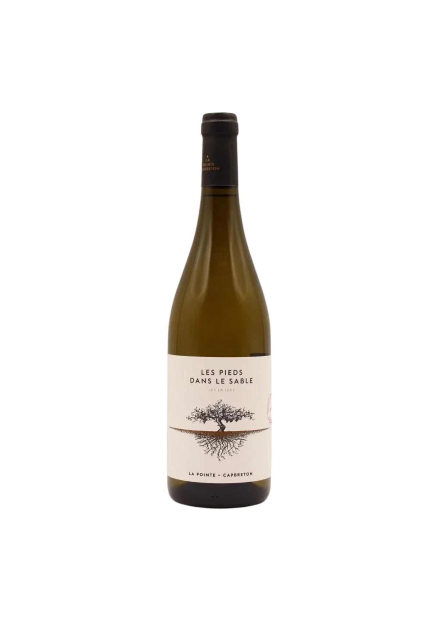 Flasche Landes IGP, Domaine La Pointe, Les Pieds dans le Sable, Weißwein