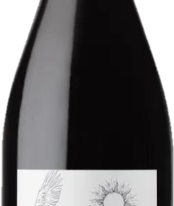 Bouteille de Languedoc, Bruno Lafon, L’Union, vin rouge