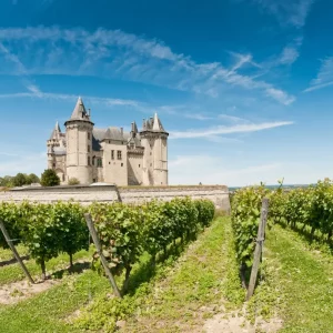 Weinprobe-Workshop Vino Veritas: Das Loiretal