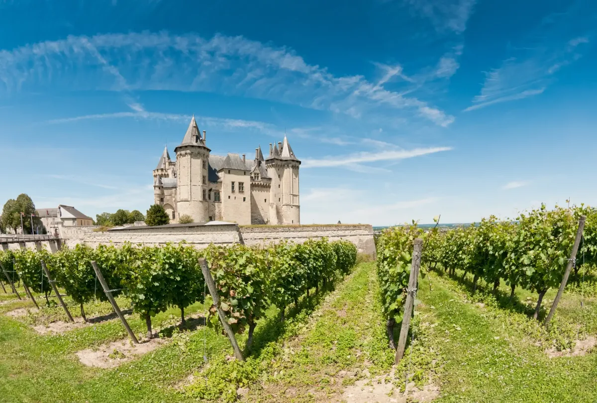 Weinprobe-Workshop Vino Veritas: Das Loiretal